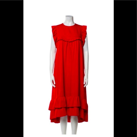 PASKAL Dresses & Skirts - PASKAL Gorgeous dress. Incredible Ukrainian designer.